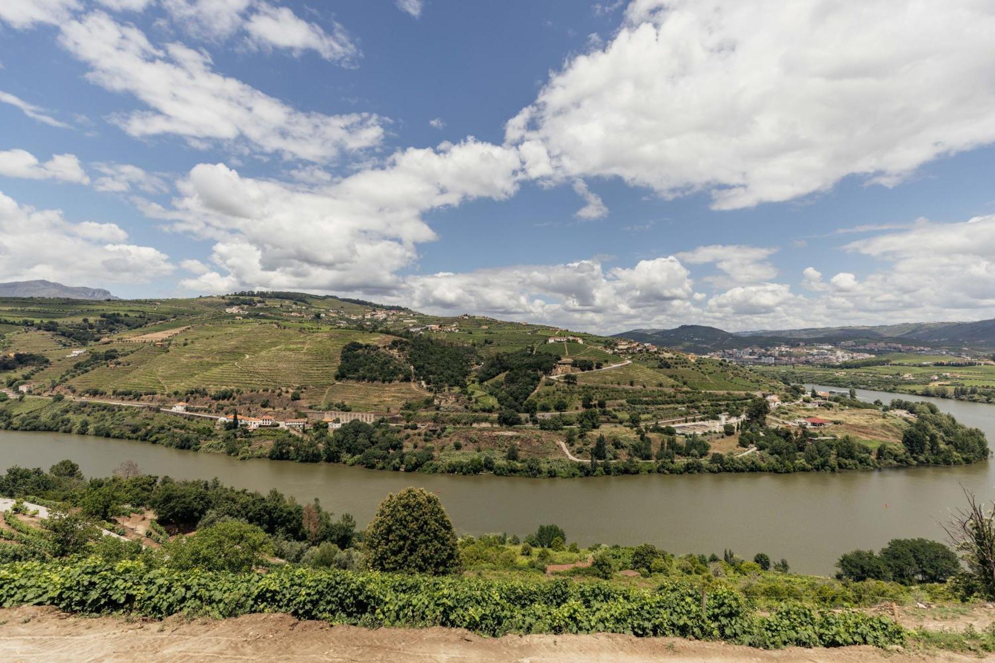 Delfim Douro Lamego